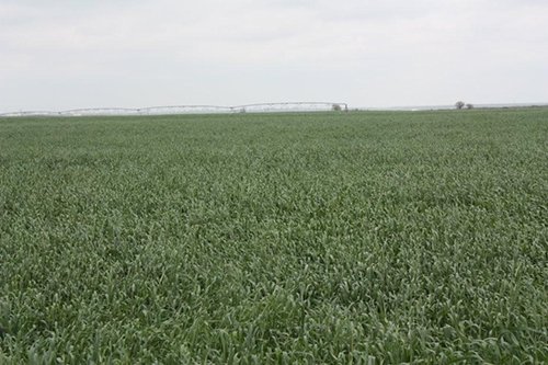 Property photo 56 - LAND AUCTION, 3255+/- Acres offered in 13 Tracts